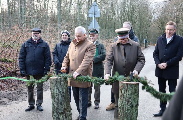 Drogi z Nadleśnictwami (video)